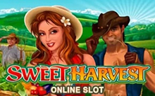 Sweet Harvest